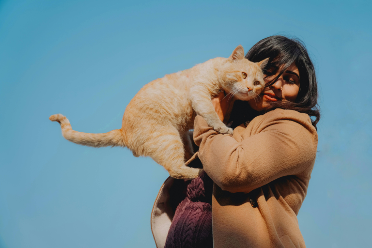 7 Simple Ways to Help Community Cats and Stray Cats