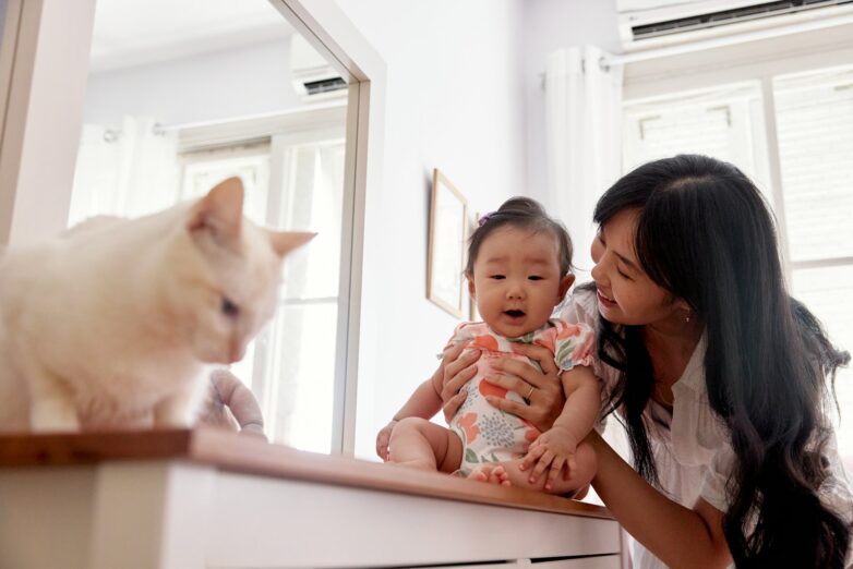 How To Introduce A Cat To A Child: 7 Tips For A Smooth Interaction