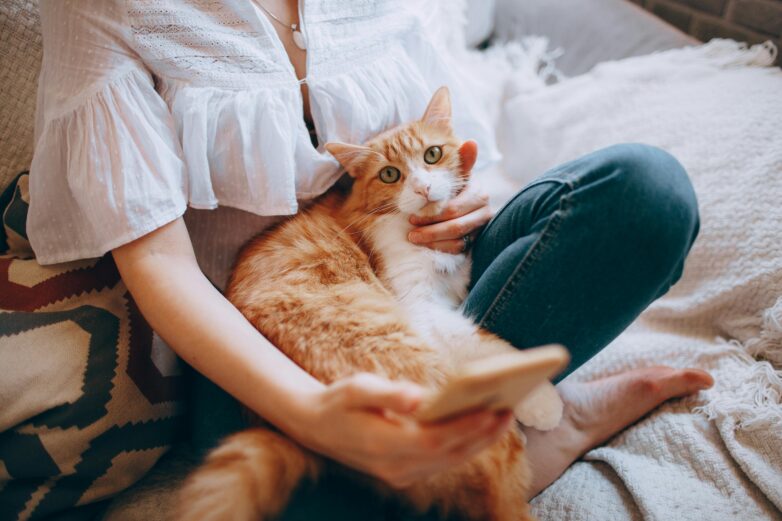 110 Color Inspired Cat Names