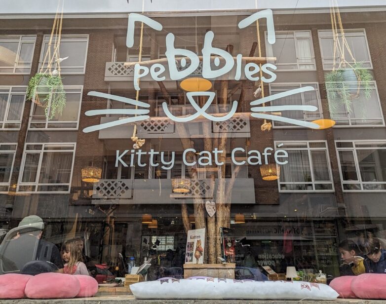 Pebbles Kitty Cat Café in Rotterdam