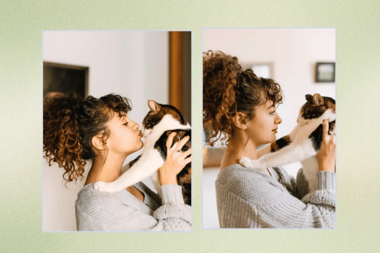 10 Things Cats Like (Or How To Spoil Your Cat Even More)