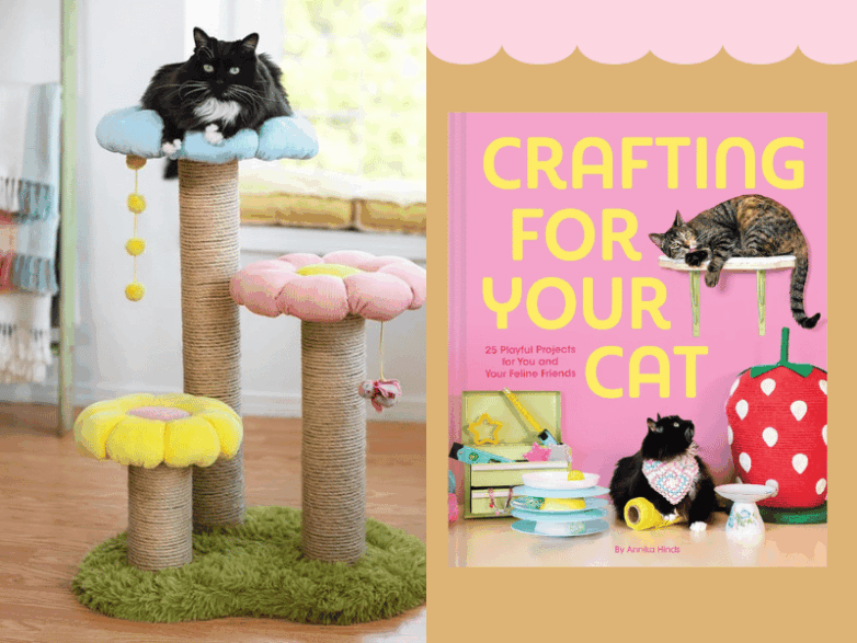 This DIY Cat Book Made Me Rethink Everything I Buy for My Cat