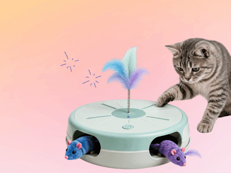 cat interactive toy