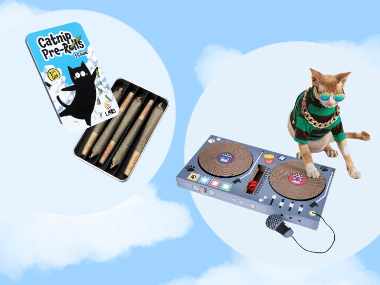 Indoor Cat Toys That Feels Unhinged